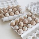 에덴농장 2 이미지