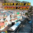 해피데이민박 - 여수시 오동도로 49 | 경주 해피데이 스파펜션 후기