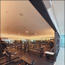 프리마스파 이미지