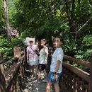 태백고원자연휴양림 | [대구 출발 1박 2일] 태백 고원자연휴양림 후기 🌲 숙소·예약·여행 꿀팁 총정리