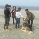 바다별팬션