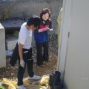 성사중학교 이미지