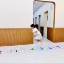 라온음악학원 | 🎹 다른 피아노학원과 뭐가 다를까? 매월 연주회 하는 신항라온음악학원의 비밀 ✨