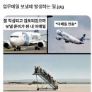 초록의계절 이미지