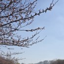 마루제빵소 - 전주시 완산구 | 삐에스몽테 제빵소 솔직 후기! 쑥서리태빵과 버터떡, 한적한 야외 마루에서 즐기는 오후의 여유