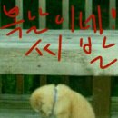 복 이미지