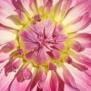 ㈜대한건설산업 이미지