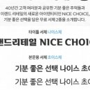 나이스개발