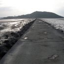 고흥의 하루 이미지