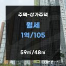 대장동코끼리공인중개사사무소 이미지