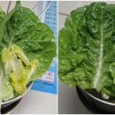 이정파트너스 이미지