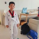 용인대 마루한 태권도 이미지