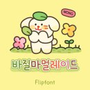 마멀레이드 이미지