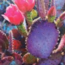 군산시립교향악단 제160회 정기연주회 이미지