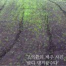 밧디