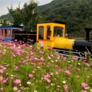 청도레일바이크 이미지