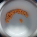 한사랑연합의원 이미지