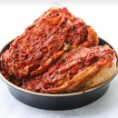 김치의 미생물 생태계 – 살아있는 유산균의 힘