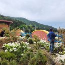 잠포학교 이미지