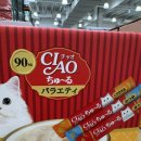 챠오챠오 | 코스트코 간식 추천 🐱 이나바 챠오츄르 참치 솔직 후기! 가성비 · 먹이기 꿀팁까지