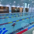 키즈퍼스트스윔스쿨 이미지