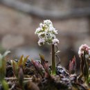 렌즈클릭 이미지