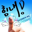 테그 이미지