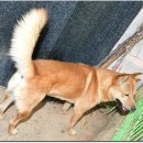 토요일오후 이미지