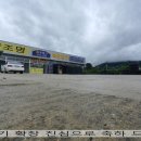 백안전기 이미지