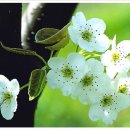 봄여름가을 이미지