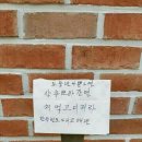 뽀바 이미지