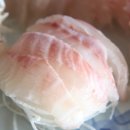 선창횟집 이미지