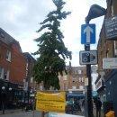 엔젤파머스 이미지