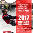 2017 경기도수상스키/웨이크보드 협회 & D3 SKIS 자유슬라럼 토너먼트 (동호인) 이미지