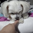 제발 지옥같은 여기서 날 꺼내줘