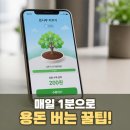 케이다시원 | 케이뱅크 돈나무 키우기 10만원 현실 후기