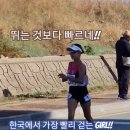 경보