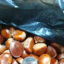 여주금강의원 이미지