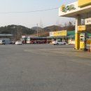 호남흑염소
