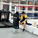 조치원 세종복싱클럽 이미지