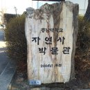 충남대학교 자연사박물관 이미지
