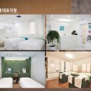 남효주컬러테라피
