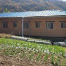 유성나무공인중개사사무소 이미지