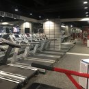 봄날의 헬스클럽 이미지