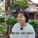 이혜정 스킨