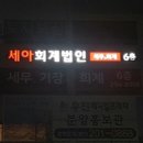 세아회계법인 이미지