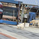 격포항길 이미지