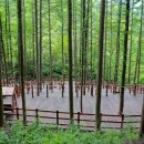 와룡정비 | 공립 와룡 자연휴양림 (전라북도)