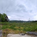 치상농장 이미지