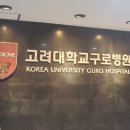 폴바셋고대구로